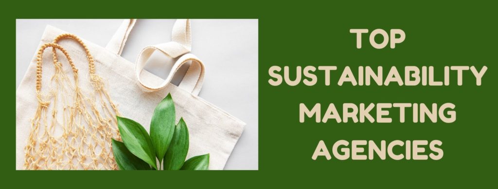 BEST SUSTAINABILITY MARKETING AGENCIES IN 2023 | Amra And Elma LLC